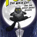 ninja